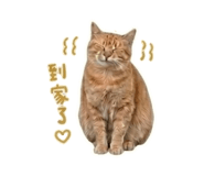 859422989