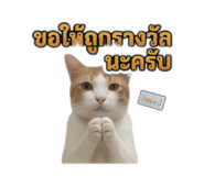859426454