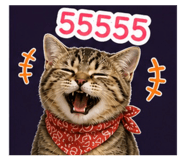 859434008