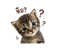 859434279
