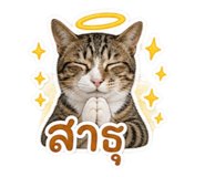 859434604