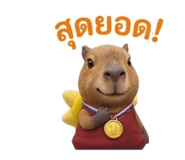 859435997