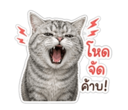 859436716