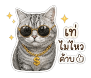 859436717