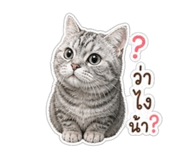 859436724