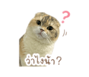 859437405
