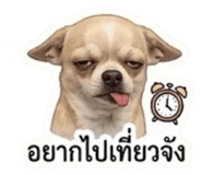 859438504