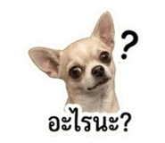 859438511