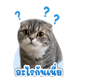 859439536