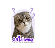 859439537