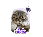 859439543