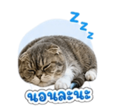 859439547