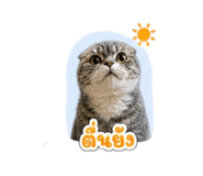 859439548