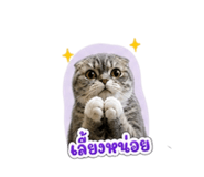 859439550