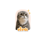 859439555