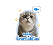 859439558