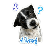859444552