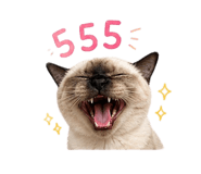 859445228
