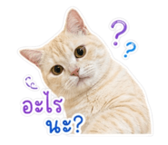 859446882