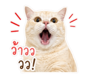 859446885
