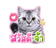 859447594