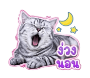 859447597