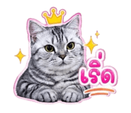 859447599
