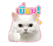 859447610