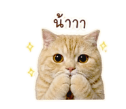 859447719