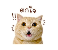 859447720