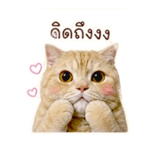 859447721