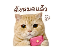 859447722