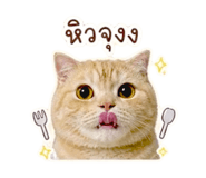 859447723