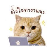 859447725