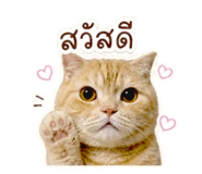 859447726