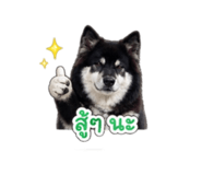 859449038