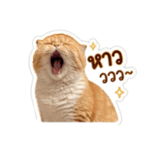 859449186