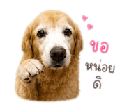 859449451
