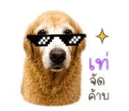 859449453