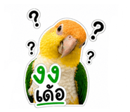 859449501