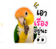 859449505
