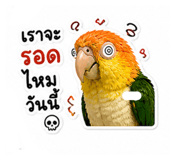 859449512