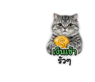 859449777