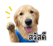 859452393