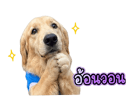 859452400