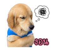 859452406