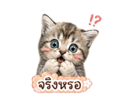 859455071