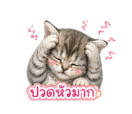 859455077