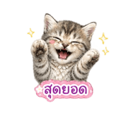 859455083