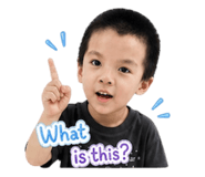 859455725